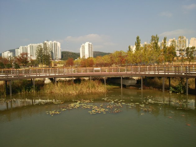 釜山市民公園の風景